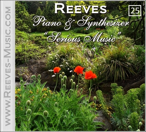 Album 25 - Serious Husic - Huh? Cover Art in Color as shown on the Reeves Motal Piano and Synthesizer Music Website 